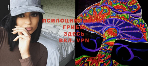 индика Коряжма