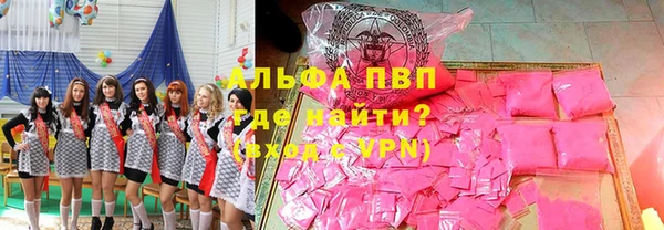 спиды Корсаков
