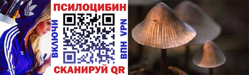Псилоцибиновые грибы GOLDEN TEACHER  сколько стоит  Красный Сулин 